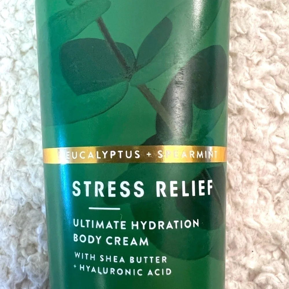 Bath & Body Works Aromatherapy Eucalyptus Spearmint Gift Set of 4 Items